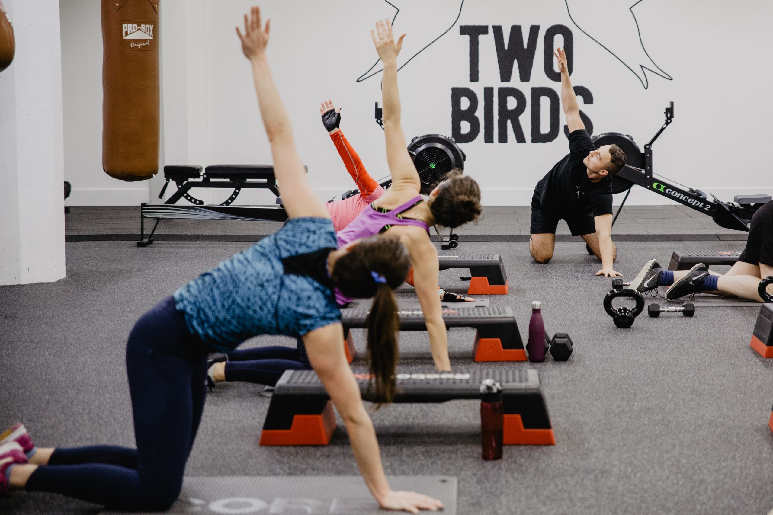 Twin Birds Online - Hit any fitness workout confidently with Twin